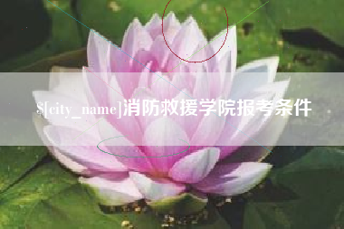 张北消防救援学院报考条件