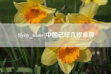 张北中国已经几枚金牌