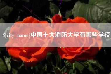 张北中国十大消防大学有哪些学校