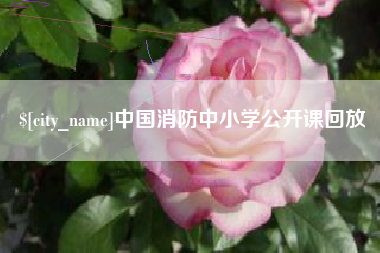 张北中国消防中小学公开课回放