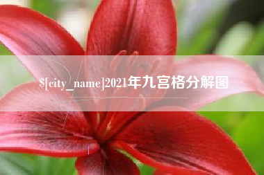 张北2021年九宫格分解图