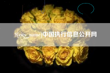 张北中国执行信息公开网