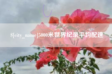 张北5000米世界纪录平均配速
