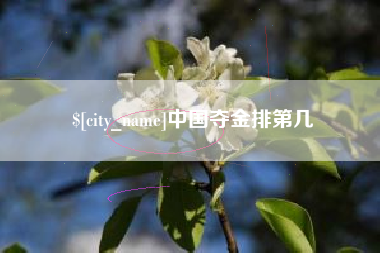 张北中国夺金排第几