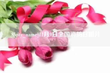 张北11月9日全国消防日图片
