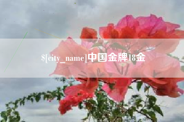 张北中国金牌18金