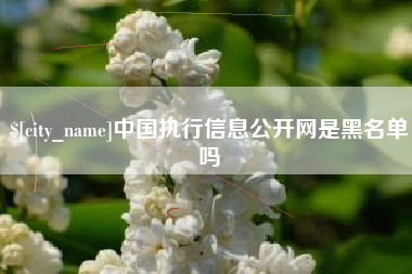 张北中国执行信息公开网是黑名单吗