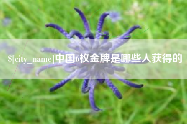 张北中国6枚金牌是哪些人获得的