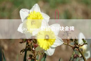 张北奥运会39块金牌
