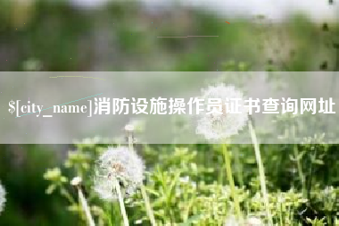 张北消防设施操作员证书查询网址