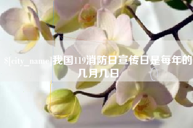 张北我国119消防日宣传日是每年的几月几日