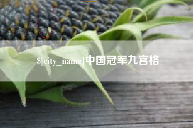 张北中国冠军九宫格
