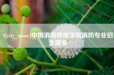 张北中国消防救援学院消防专业招生简章