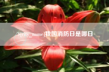 张北我国消防日是哪日