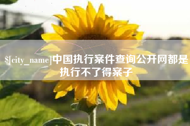 张北中国执行案件查询公开网都是执行不了得案子