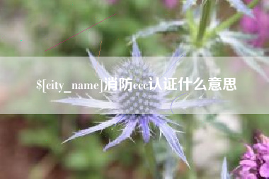 张北消防ccc认证什么意思