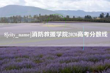 张北消防救援学院2020高考分数线