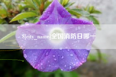 张北全国消防日哪一