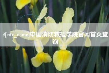 张北中国消防救援学院官网首页查询