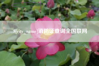 张北消防证查询全国联网
