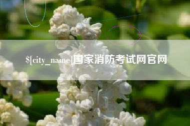 张北国家消防考试网官网