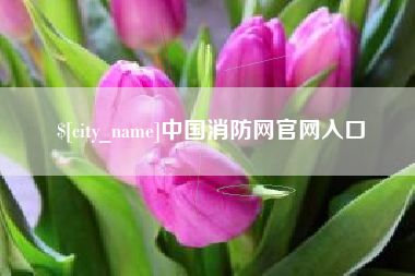 张北中国消防网官网入口