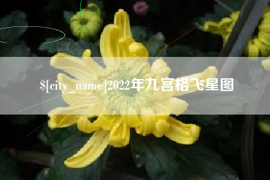 张北2022年九宫格飞星图