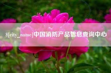 张北中国消防产品信息查询中心