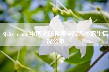 张北中国消防救援学院湖南招生情况公布