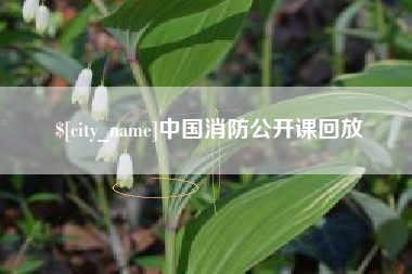 张北中国消防公开课回放