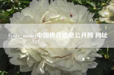 张北中国执行信息公开网 网址