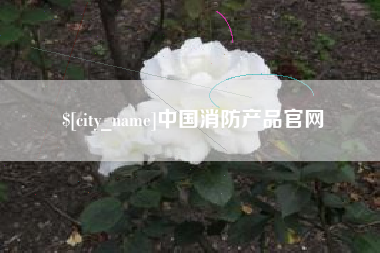 张北中国消防产品官网
