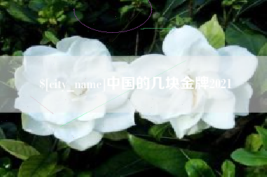 张北中国的几块金牌2021