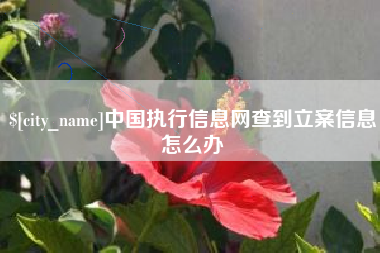 张北中国执行信息网查到立案信息怎么办