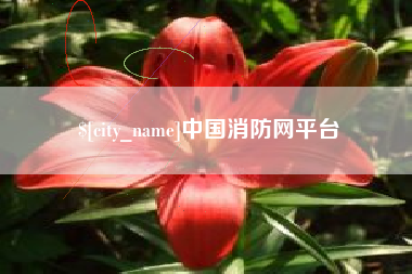 张北中国消防网平台