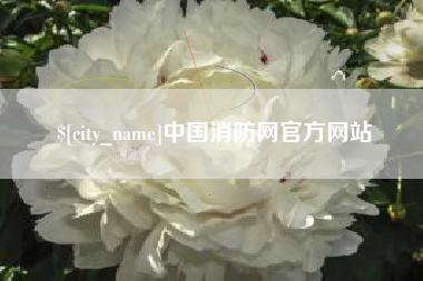 张北中国消防网官方网站