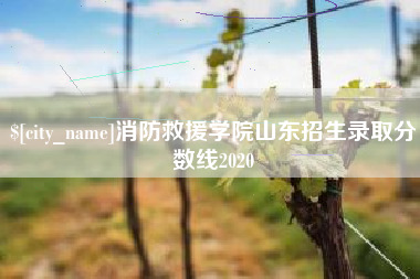张北消防救援学院山东招生录取分数线2020