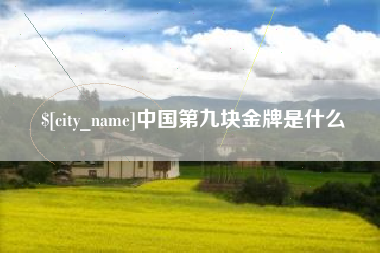 张北中国第九块金牌是什么