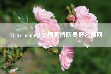 张北2021国家消防员报名官网