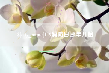 张北119消防日哪年开始