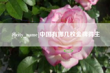 张北中国有哪几枚金牌得主