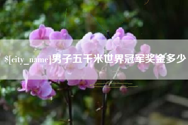 张北男子五千米世界冠军奖金多少