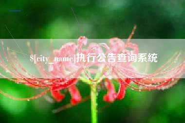 张北执行公告查询系统