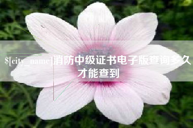 张北消防中级证书电子版查询多久才能查到