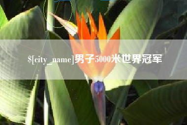张北男子5000米世界冠军