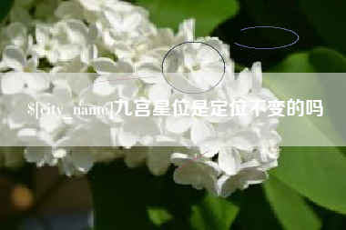 张北九宫星位是定位不变的吗