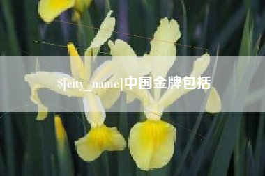 张北中国金牌包括