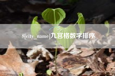 张北九宫格数字排序