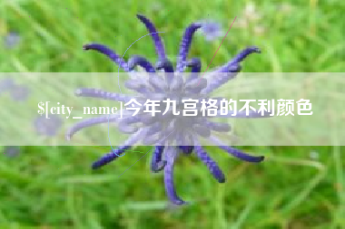张北今年九宫格的不利颜色
