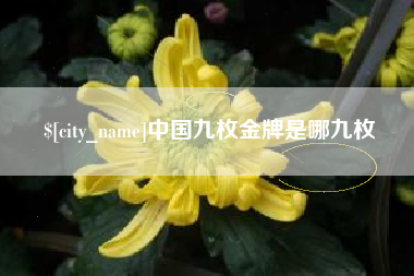 张北中国九枚金牌是哪九枚